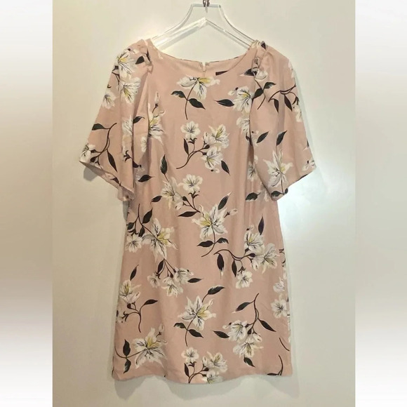 NWT Ann Taylor Pink Floral Dress Womens Size 2 (1543)‎ - Picture 1 of 4